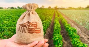 Juros altos e insumos encarecem expansÃ£o no agronegÃ³cio