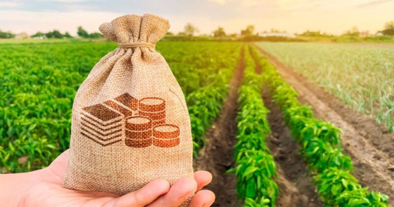 Juros altos e insumos encarecem expansÃ£o no agronegÃ³cio