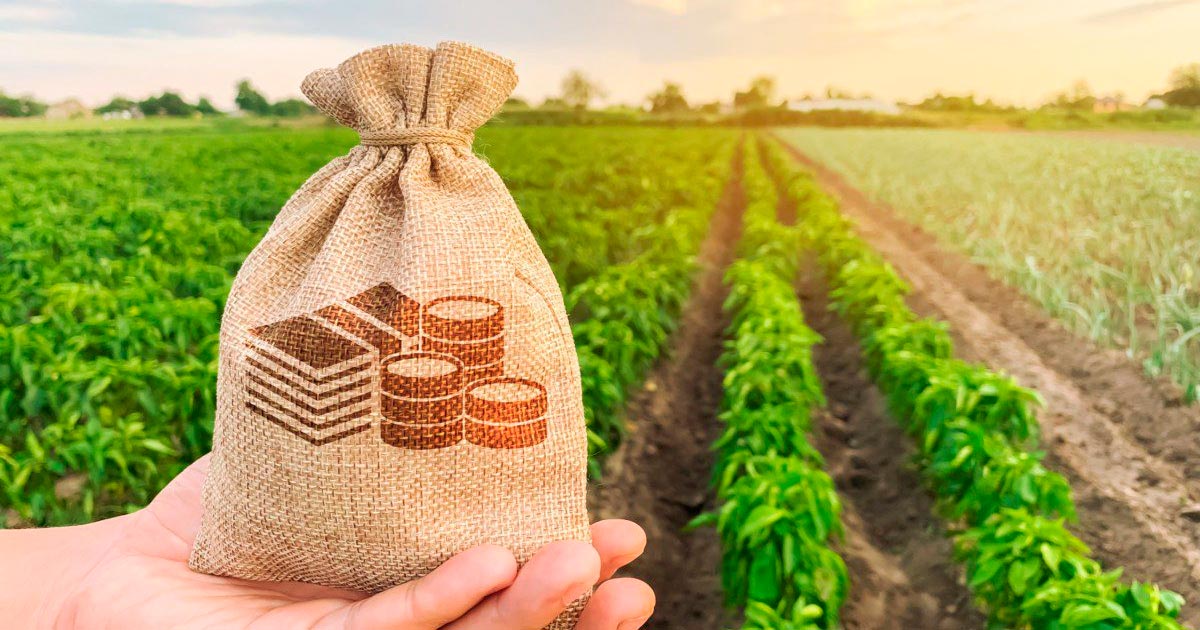 Juros altos e insumos encarecem expansão no agronegócio