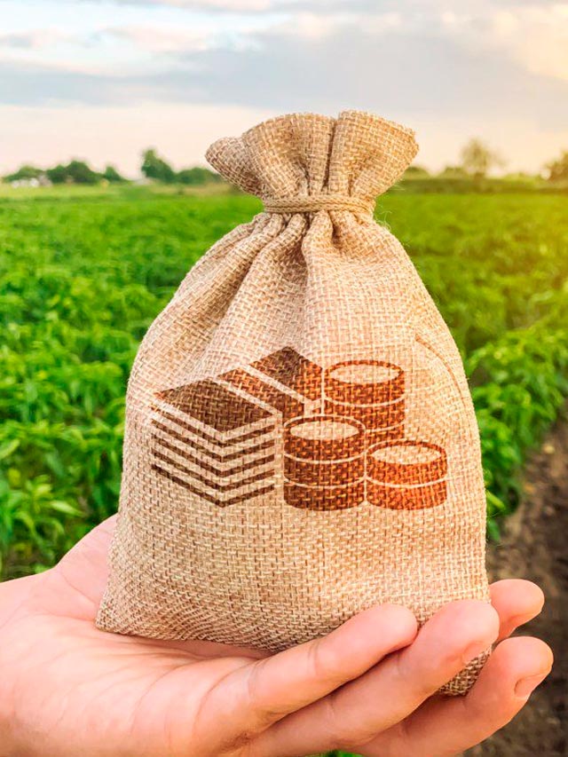 Juros altos e insumos encarecem expansão no agronegócio