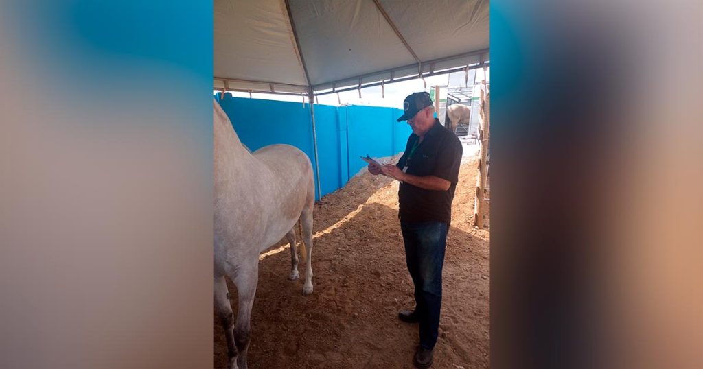 ADAB intensifica fiscalizacao em parques de vaquejada bahia atual