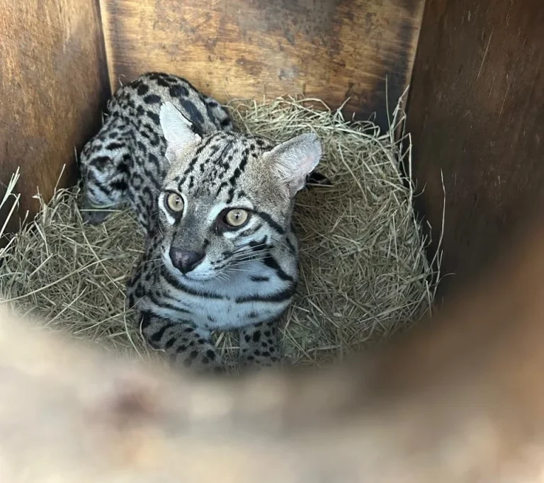 news 7471 1771671986