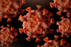 news 7536 1771788191