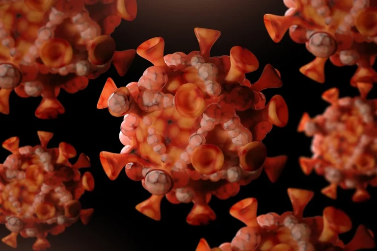 news 7536 1771788191