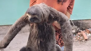 news 7686 1771958057