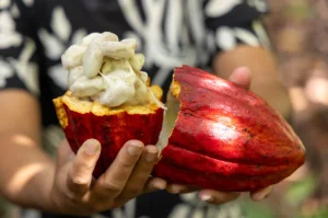 news 7705 1771965349