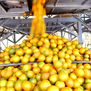 news 7854 1772134906