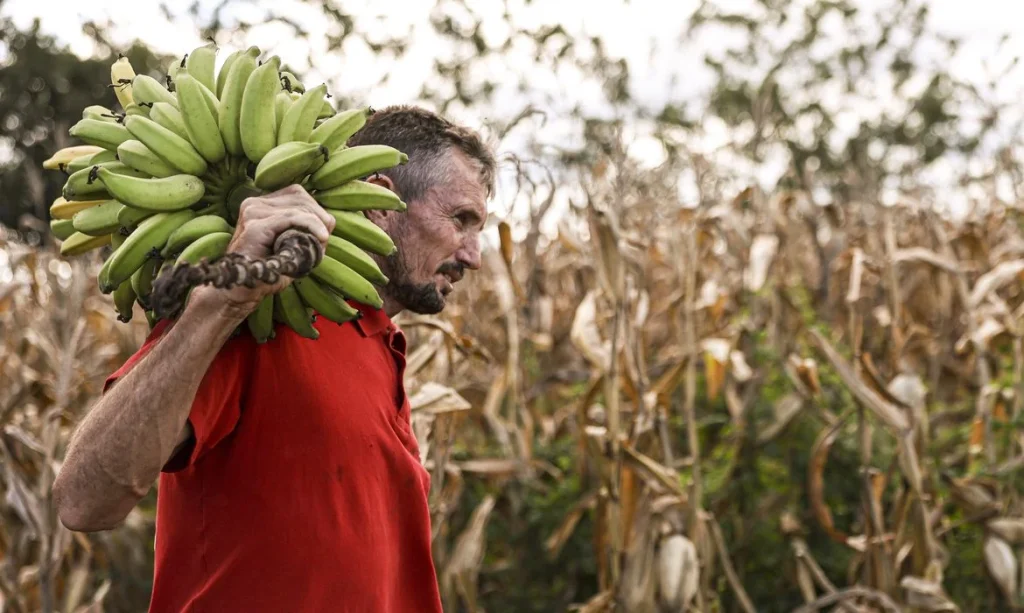 news 7864 1772136654