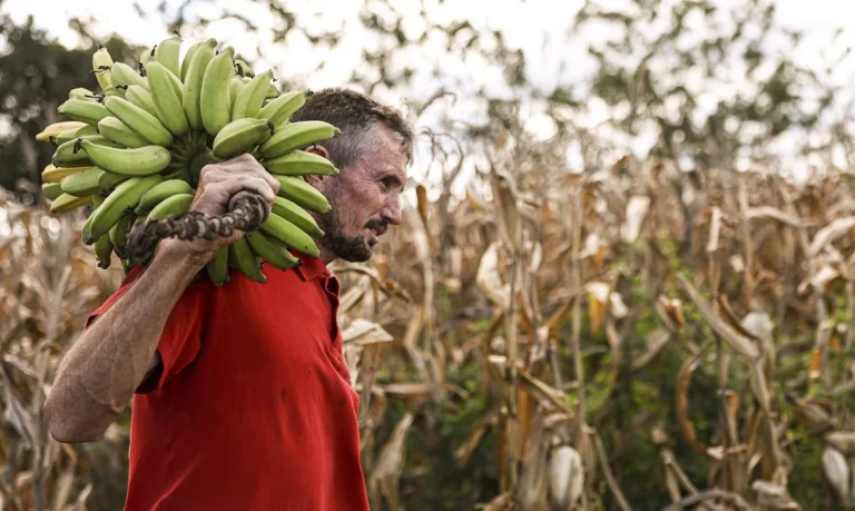 news 7864 1772136654