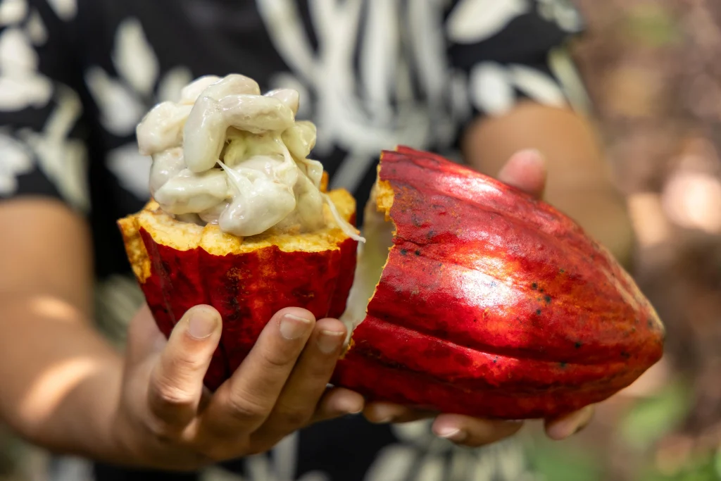 news 8533 1773086609