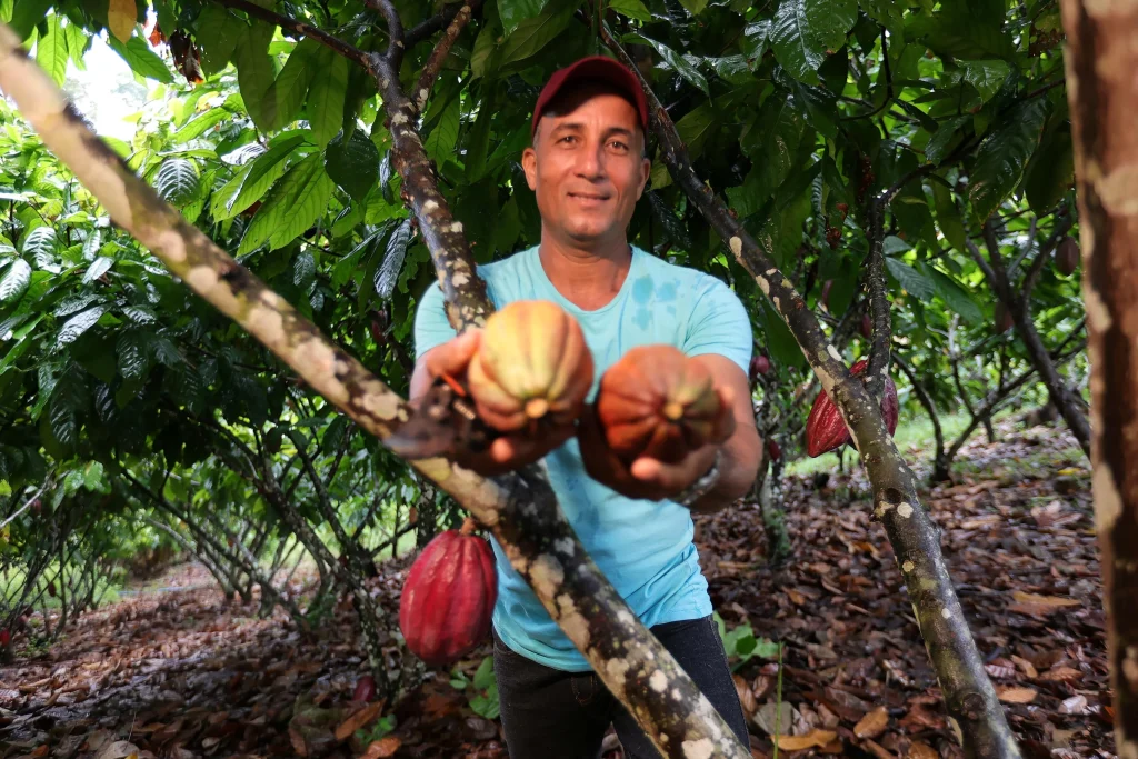 news 9017 1774559014