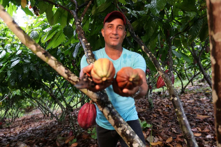 news 9017 1774559014