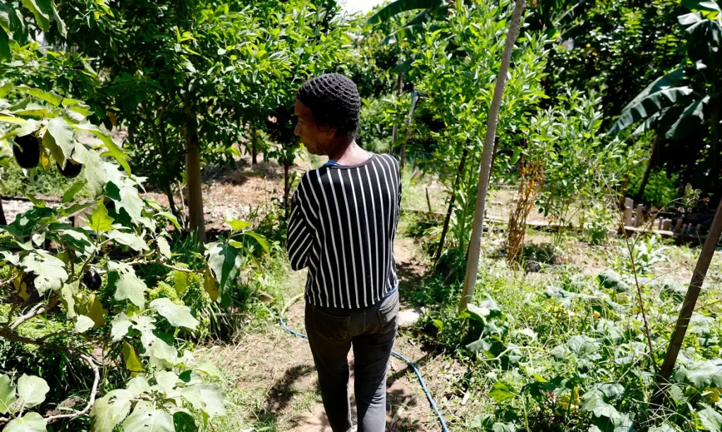 news 9250 1774818256