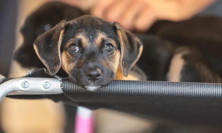 news 10156 1776209619