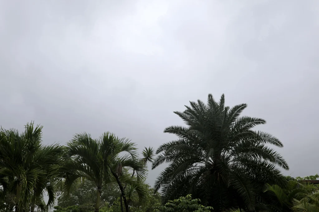 news 10178 1776238426