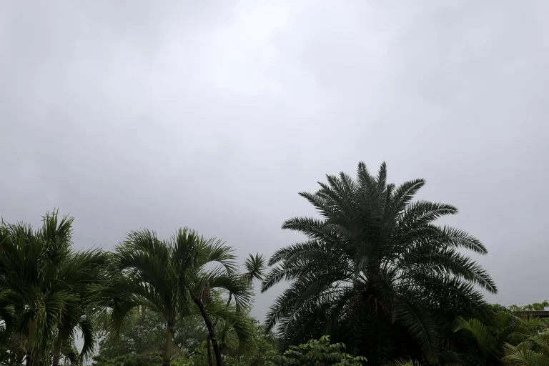 news 10178 1776238426