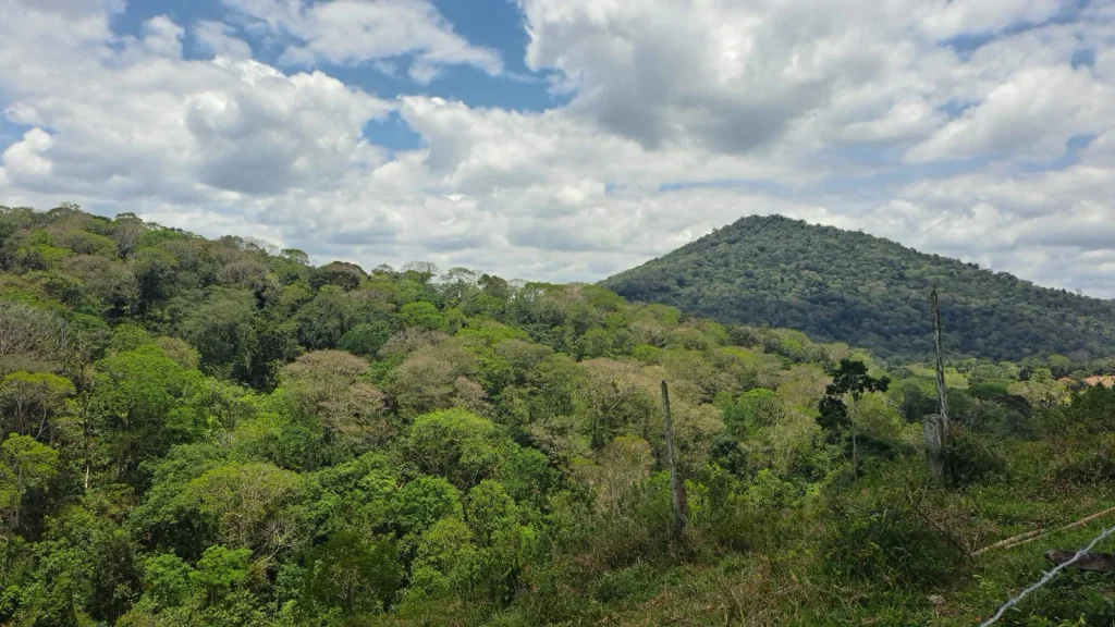 news 9684 1775597672